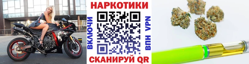 Альфа ПВП Ветлуга