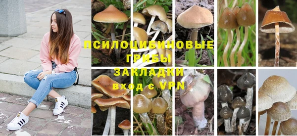 ECSTASY Елабуга