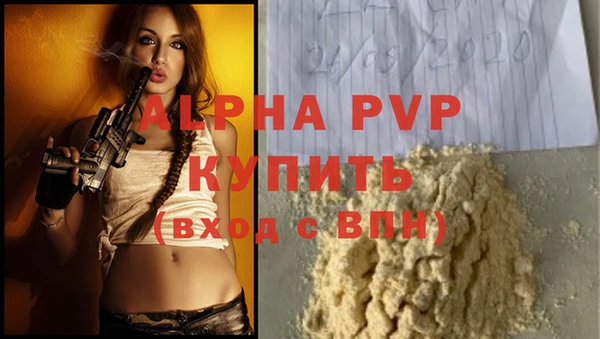 ECSTASY Елабуга