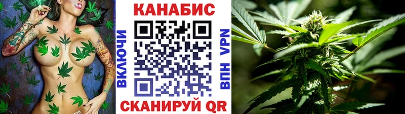 Купить где  Ветлуга  Конопля тримм 